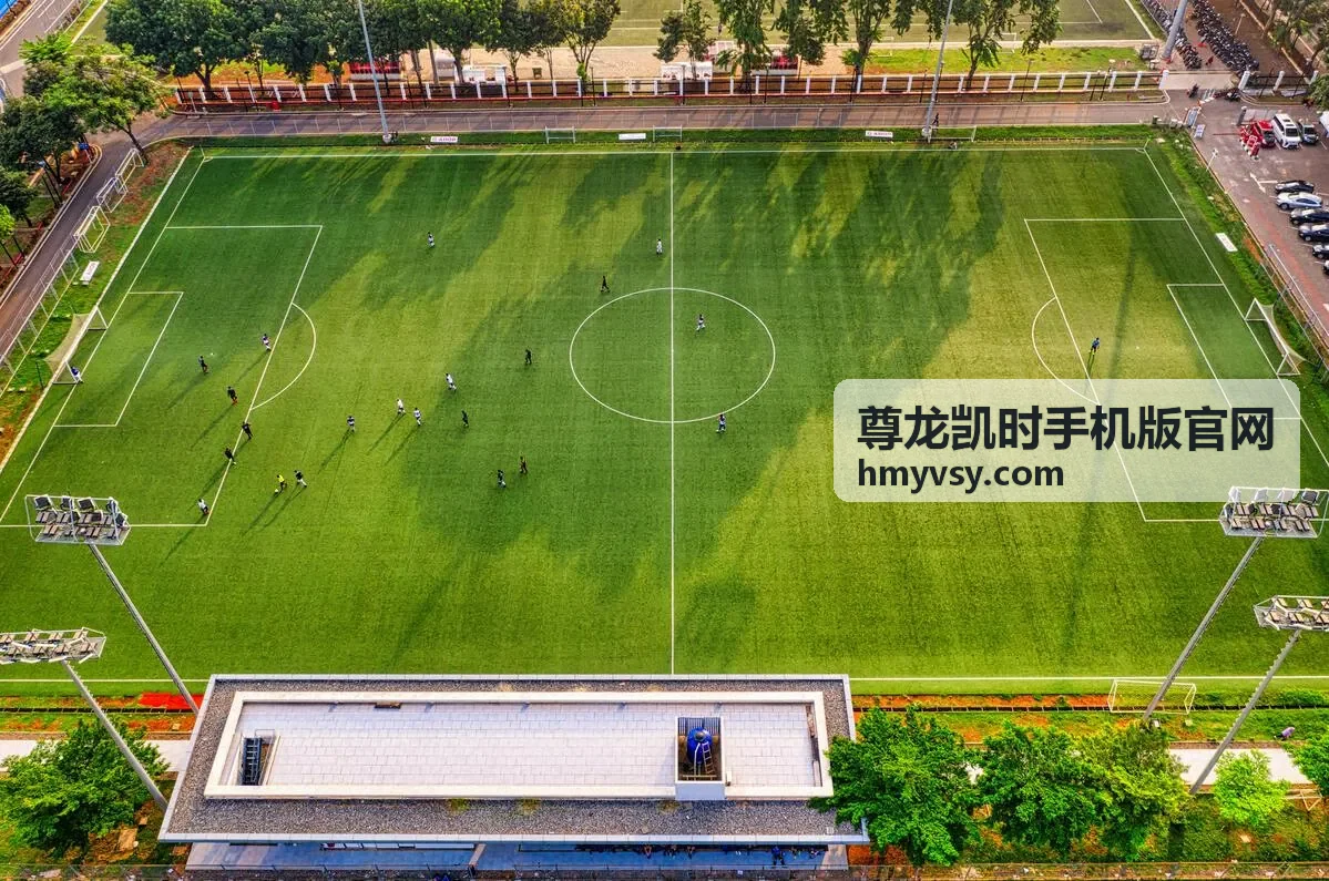 尊龙凯时手机版官网版本更新动态