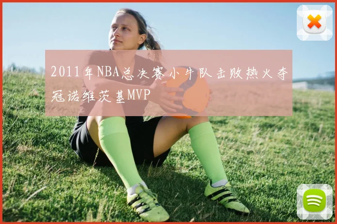 2011年NBA总决赛小牛队击败热火夺冠诺维茨基MVP