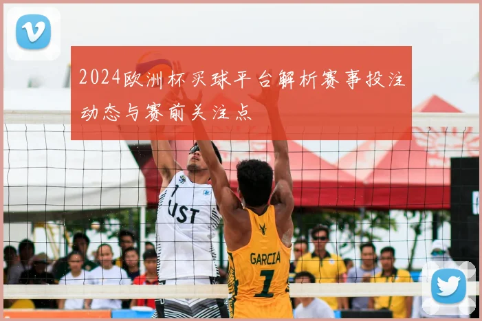 2024欧洲杯买球平台解析赛事投注动态与赛前关注点