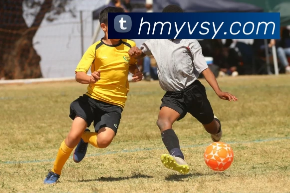 滚球买球的appAPP 封面图